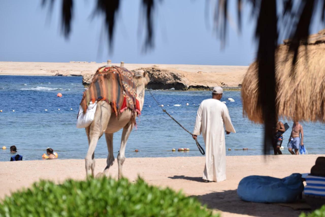 Sharm El Naga Resort And Diving Center 후르가다 외부 사진