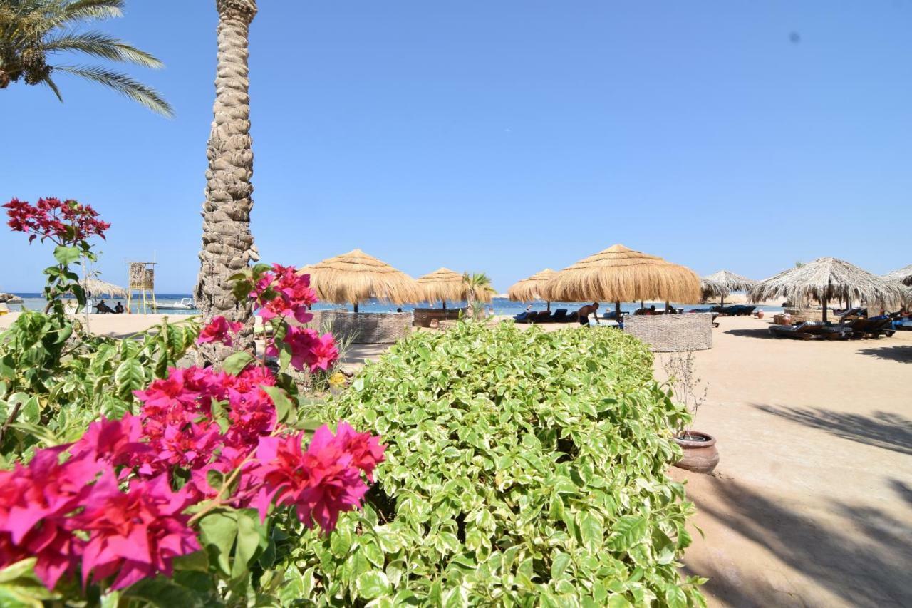 Sharm El Naga Resort And Diving Center 후르가다 외부 사진